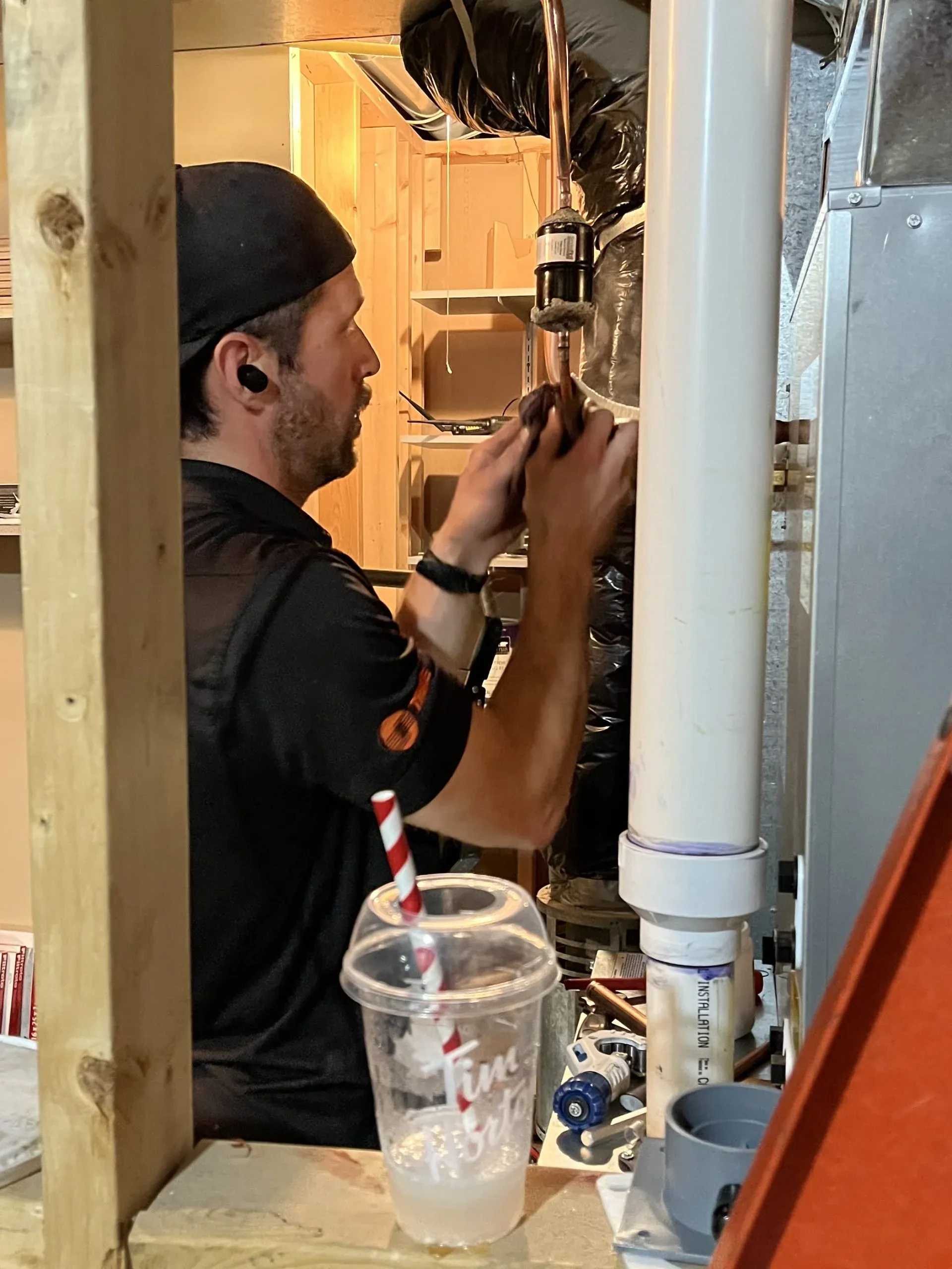 Complete Removal And Disposal